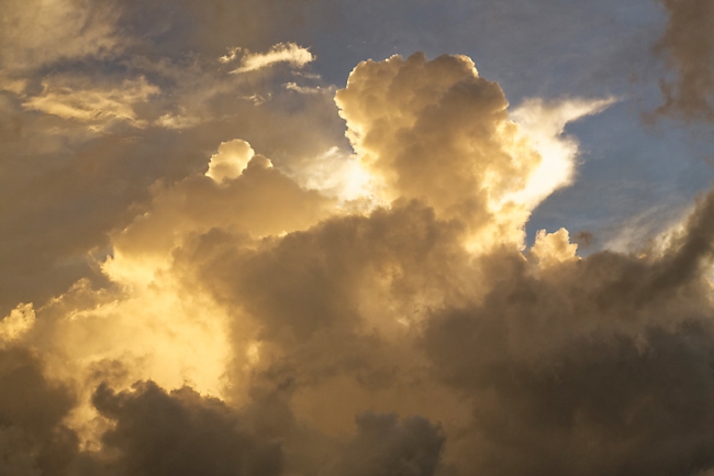 Kandy-Botanical garden-100